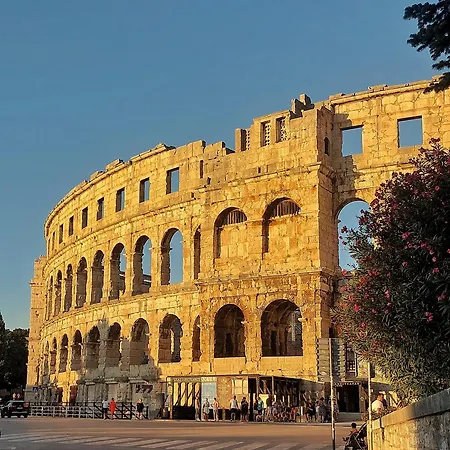 Pavic Arena *